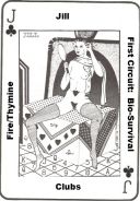 Таро Игра жизни Тимоти Лири (Timothy Leary's Game of Life Tarot) - Карта Паж Жезлов