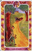 Таро Внутреннего Ребенка (Inner Child Cards Tarot) - Карта Королева Мечей